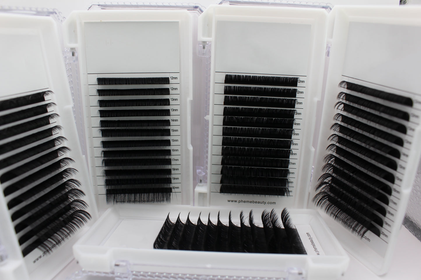Lash Collection (Bundle)