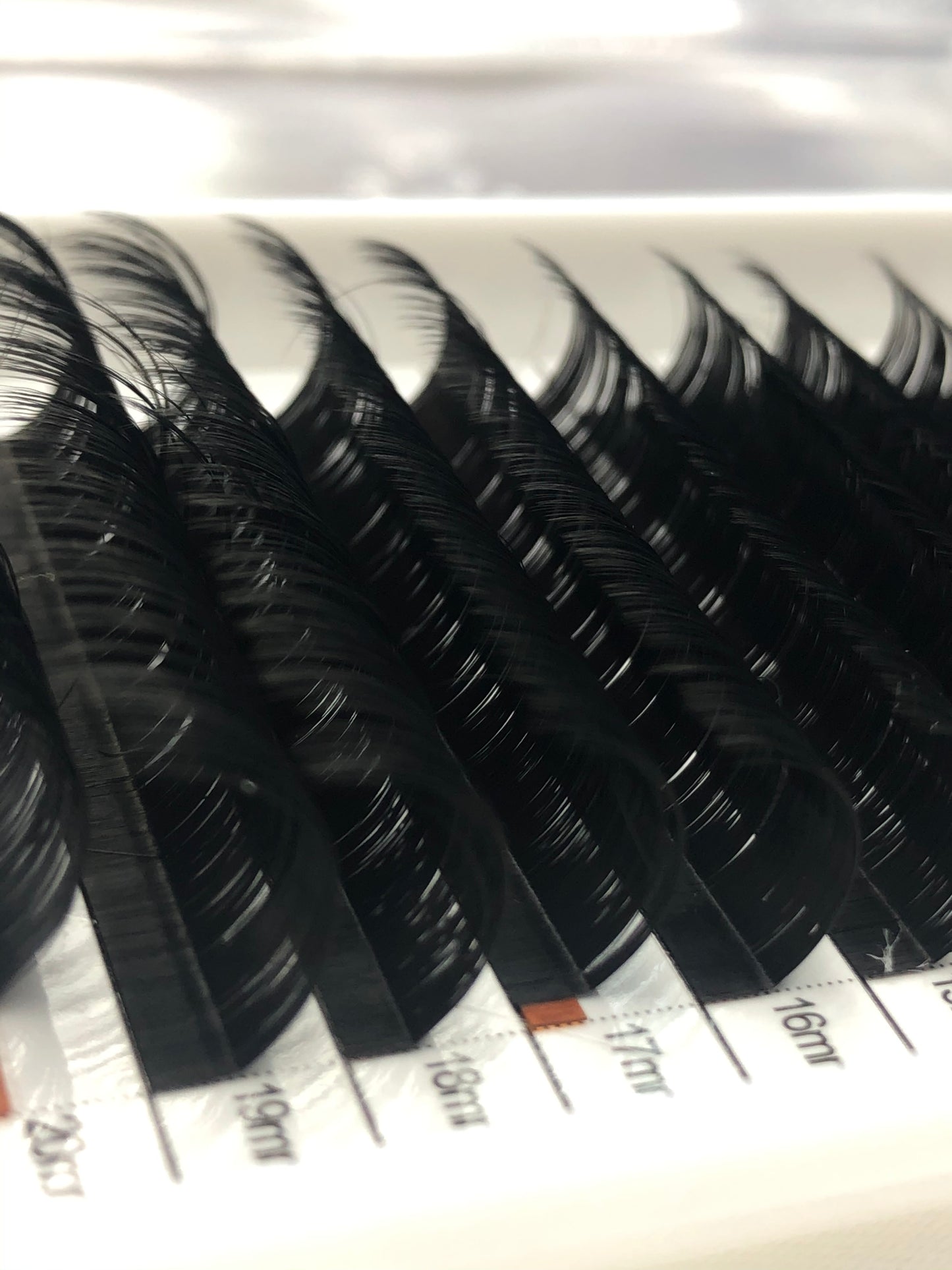 Lash Collection (Bundle)