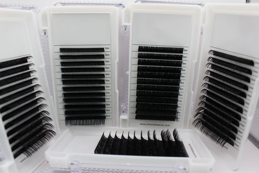 Lash Collection (Bundle)